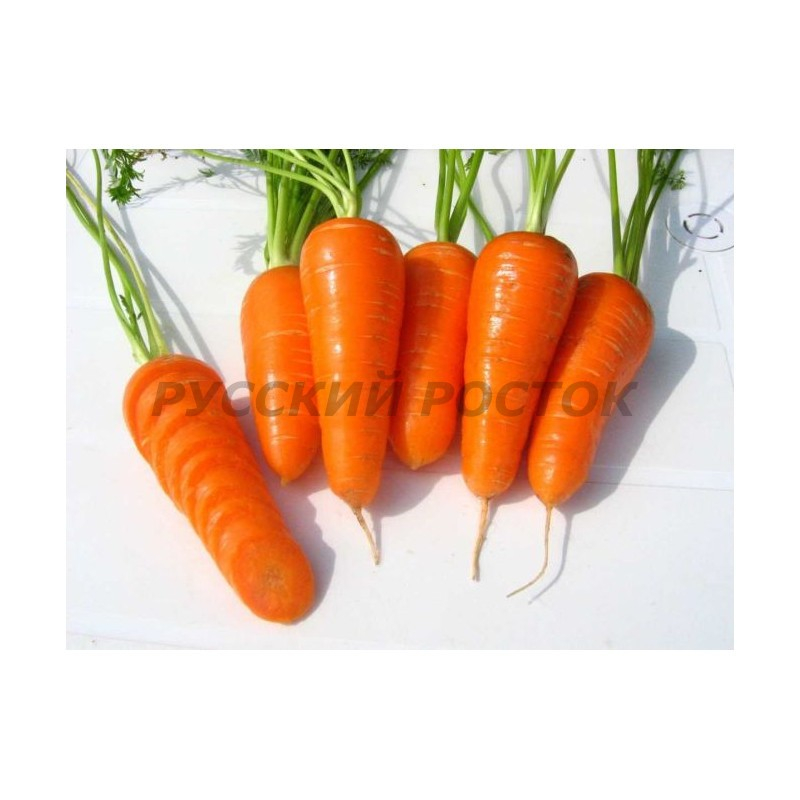 Морковь Шакира (100 гр)