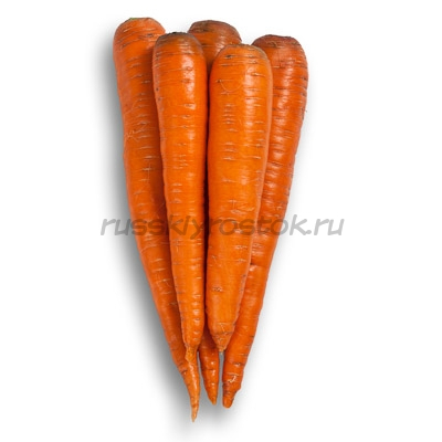 Морковь Вармия F1 (2,0-2,2 мм) (1 000 000 сем.)