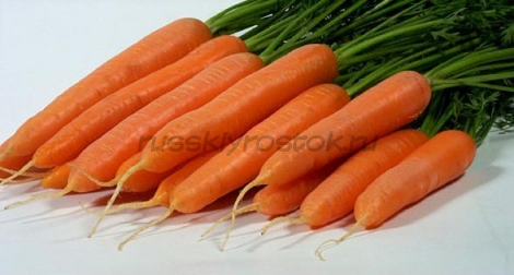 Морковь Лагуна F1 (1,8-2,0 мм) (25 000 сем.)