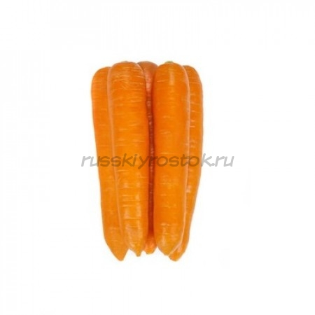 Морковь Фидра F1 (2,0-2,2 мм) (1 000 000 сем.)