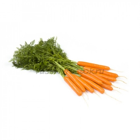 Морковь Джерада F1 (1,8-2,0 мм) (1 000 000 сем.)