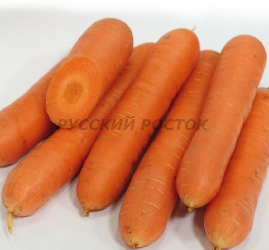 Морковь Нирвана (100 гр)